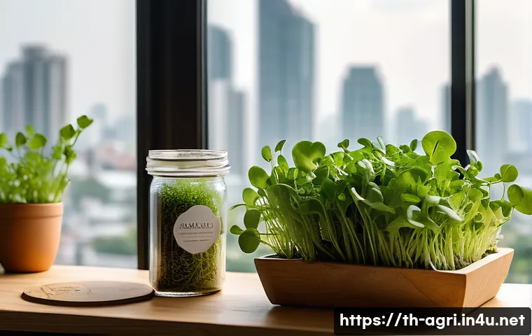 농업 식물 공장 운영 관련 이미지 1